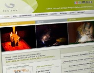 Cecilor.fr