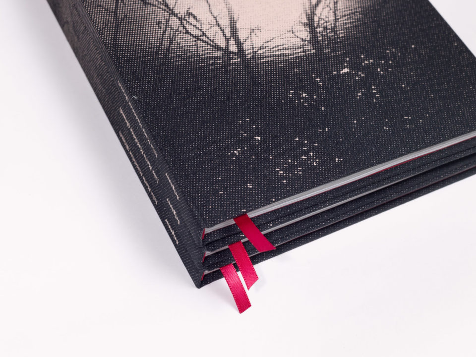 Vue rapprochée sur la tranche de trois exemplaires du livre "dummy" Seigneur